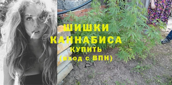 дживик Протвино