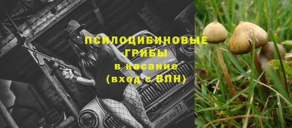 ешки Белокуриха