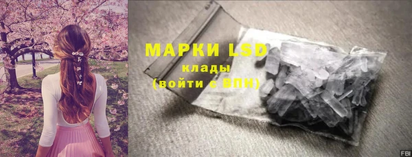 ешки Белокуриха