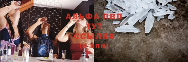 ешки Белокуриха