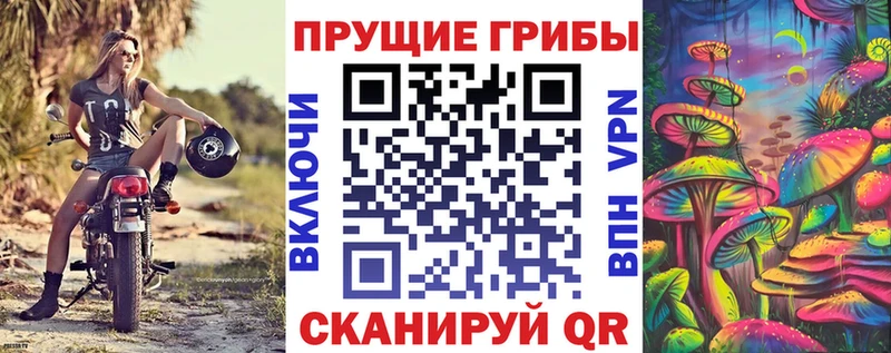 Галлюциногенные грибы прущие грибы  Куйбышев 